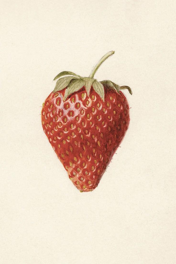 Sun-Kissed Gems: Assorted Berry Delight