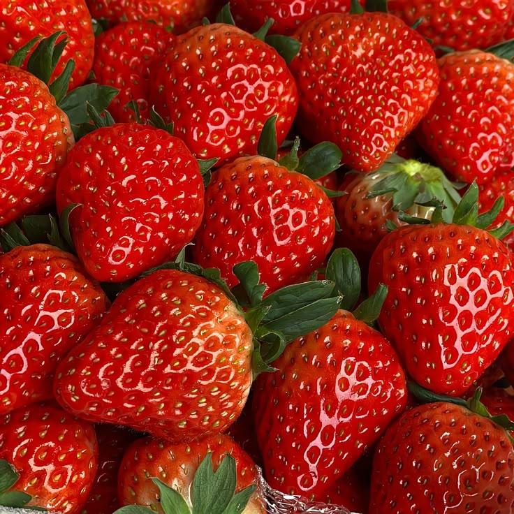 Field to Table: Artisan Berry Selection